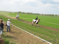 Скачки на Ропшинском ипподроме<br />Horse-race At Ropsha Race Course<br />