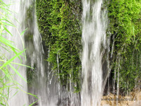 Водно-растительный водопад <br />Water&plant-fall
