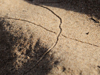 Кто рисует каракули на песке? <br />Who Draws Doodles On The Sand?