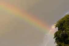 Радуга <br />Rainbow