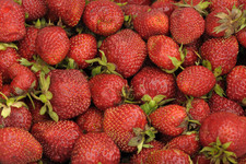 Клубника <br />Strawberries